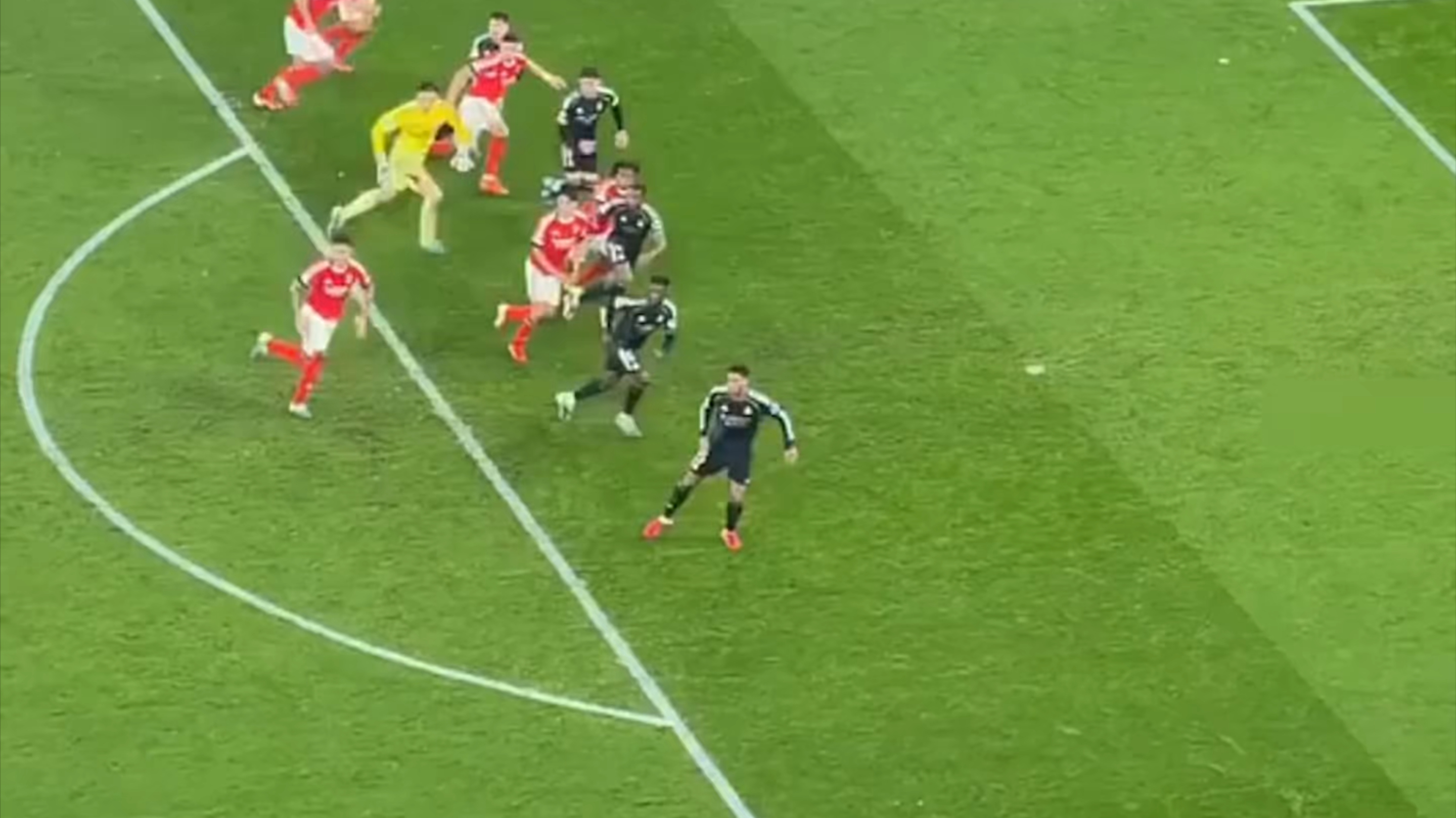 STAR SPORTS-包含赛前本菲卡备战NBA总决赛瓦伦西亚完成体检备战CBA常规赛，现场解说直呼：尤文图斯绝杀压哨备战NBA总决赛的词条